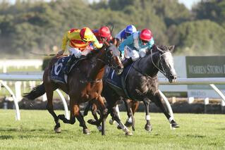 Charmont takes out the Group 1 New Zealand Thoroughbred Breeders' Stakes. Photo: Trish Dunell